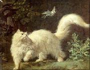 Un chat Angora Jean-Jacques Bachelier